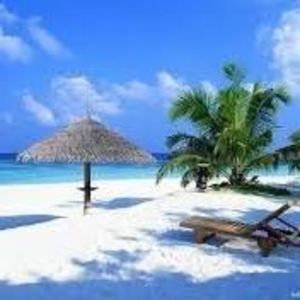 Meet your Posher, Celena